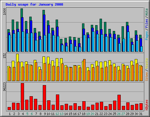 Daily usage for January 2008