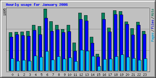 Hourly usage for January 2006