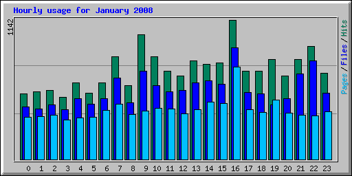 Hourly usage for January 2008